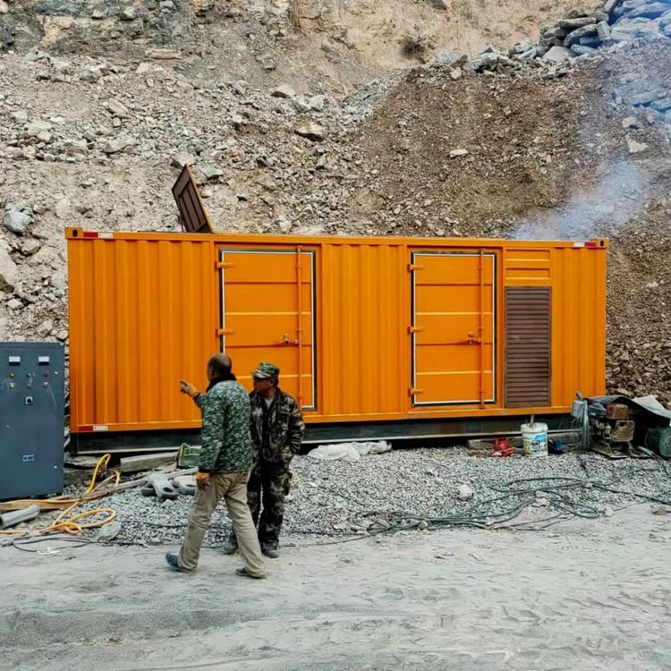 瑞溪镇如何选择适合自己的 800KW 柴油发电机组？